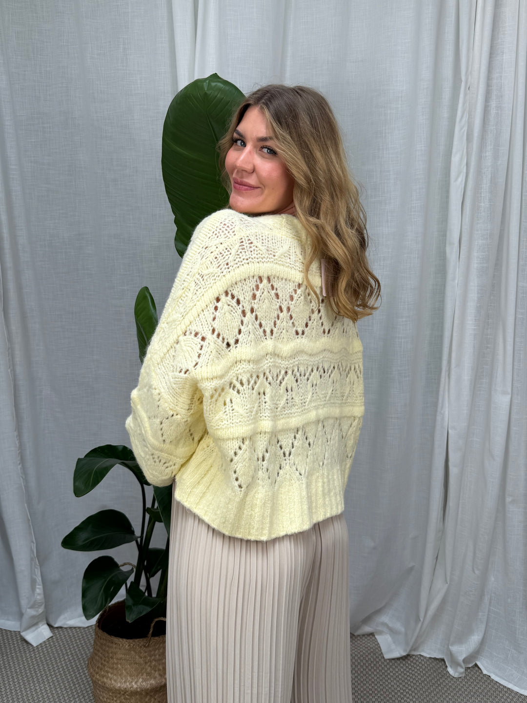 Cardigan Starfish - Butteryellow